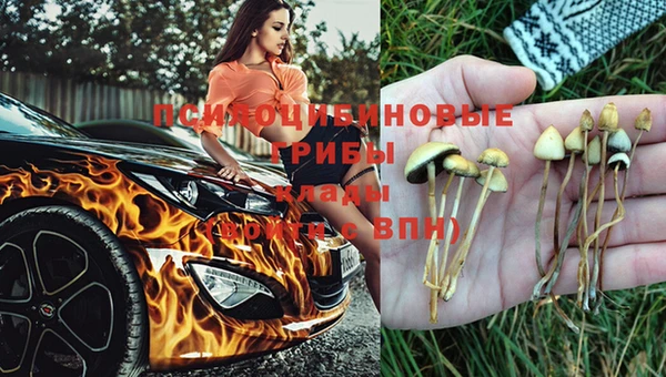 spice Горно-Алтайск