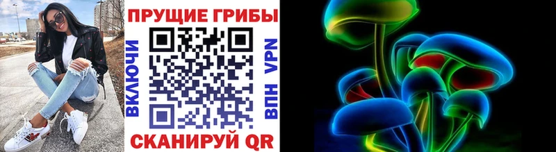 Псилоцибиновые грибы Psilocybe  Тверь 